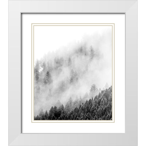 Wyoming-Hoback-clouds intermingling with evergreens on rainy morning in black and white White Modern Wood Framed Art Print with Double Matting by Gulin, Sylvia