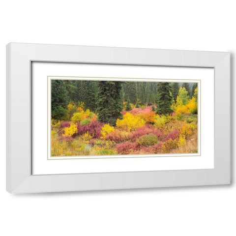 Wyoming-Hoback fall colors along Highway 89 with Dogwood-Willow-Evergreens-Aspens White Modern Wood Framed Art Print with Double Matting by Gulin, Sylvia