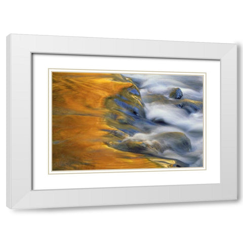 Northeast, Fall reflections on stream rapids White Modern Wood Framed Art Print with Double Matting by Rotenberg, Nancy