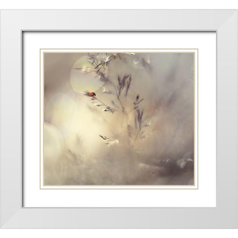 Little Lady White Modern Wood Framed Art Print with Double Matting by Westum, Heidi