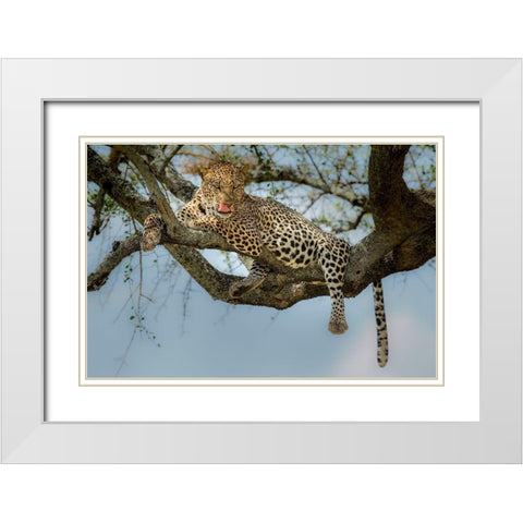 How Tasty You Are! White Modern Wood Framed Art Print with Double Matting by Nadoum, Khaleel