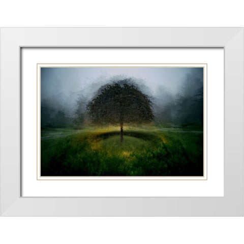 Eden Place White Modern Wood Framed Art Print with Double Matting by Malovrh, Milan
