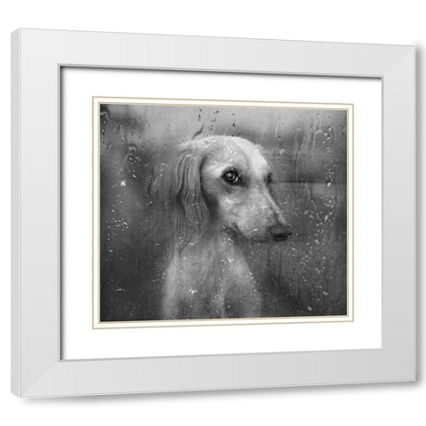 Autumn White Modern Wood Framed Art Print with Double Matting by Melik-Nubarova, Svetlana