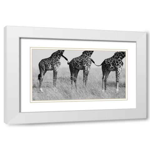 Wild Connection White Modern Wood Framed Art Print with Double Matting by Alnaser, Mohammed