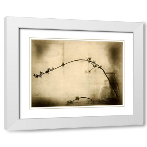 Zen White Modern Wood Framed Art Print with Double Matting by Hummel, Jeffrey