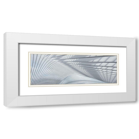 Guillemins White Modern Wood Framed Art Print with Double Matting by Bruederl, Joachim