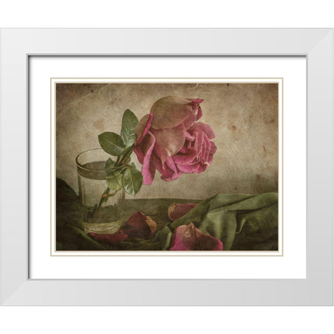 Tear Of Rose White Modern Wood Framed Art Print with Double Matting by Tokarev, Igor