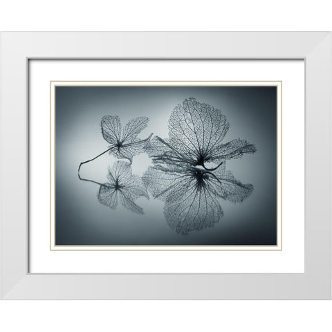 Ephemeral Beauty White Modern Wood Framed Art Print with Double Matting by Kowatari, Shihya