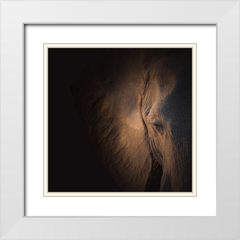 Gentle Giant White Modern Wood Framed Art Print with Double Matting by Wolbers, Louise