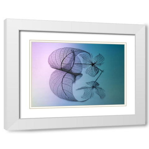 Story Of Leaf And Flower White Modern Wood Framed Art Print with Double Matting by Kowatari, Shihya