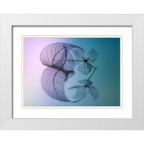 Story Of Leaf And Flower White Modern Wood Framed Art Print with Double Matting by Kowatari, Shihya