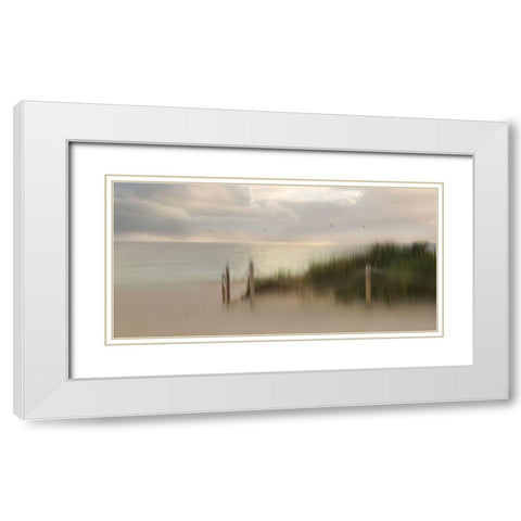 Early Bird White Modern Wood Framed Art Print with Double Matting by Westum, Heidi