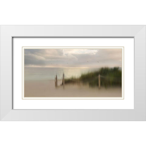 Early Bird White Modern Wood Framed Art Print with Double Matting by Westum, Heidi
