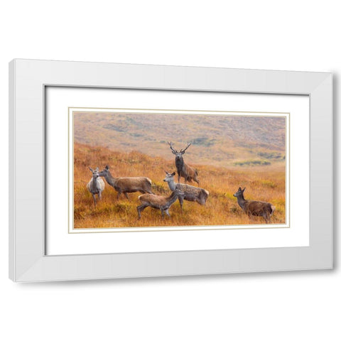 The Guardian Of The Moorland White Modern Wood Framed Art Print with Double Matting by Ruoppolo, Luigi