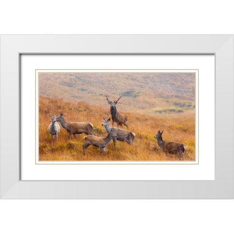 The Guardian Of The Moorland White Modern Wood Framed Art Print with Double Matting by Ruoppolo, Luigi
