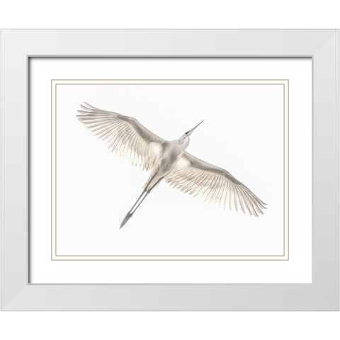 Fly White Modern Wood Framed Art Print with Double Matting by Or, Keren