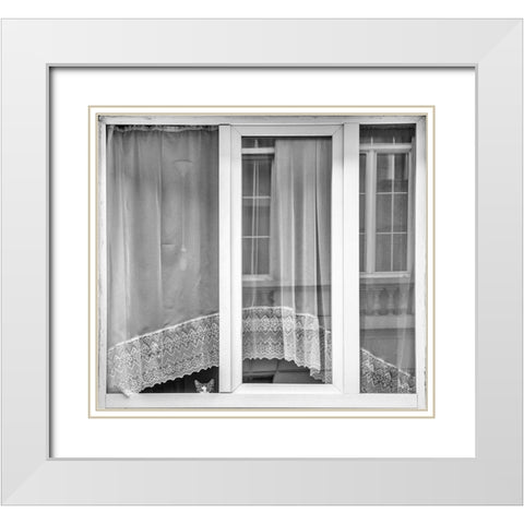 Kitten Window White Modern Wood Framed Art Print with Double Matting by Stoop, Susanne