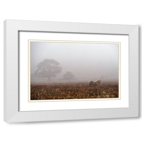 Morning Fog White Modern Wood Framed Art Print with Double Matting by Tanase, Sorin
