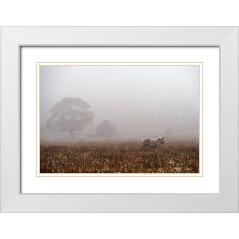 Morning Fog White Modern Wood Framed Art Print with Double Matting by Tanase, Sorin