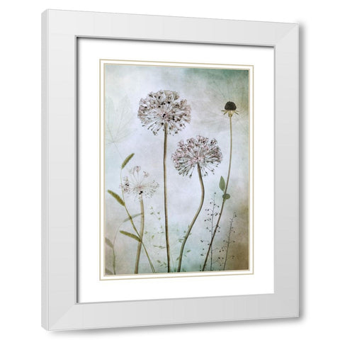 Allium White Modern Wood Framed Art Print with Double Matting by Disher, Mandy
