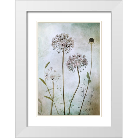 Allium White Modern Wood Framed Art Print with Double Matting by Disher, Mandy