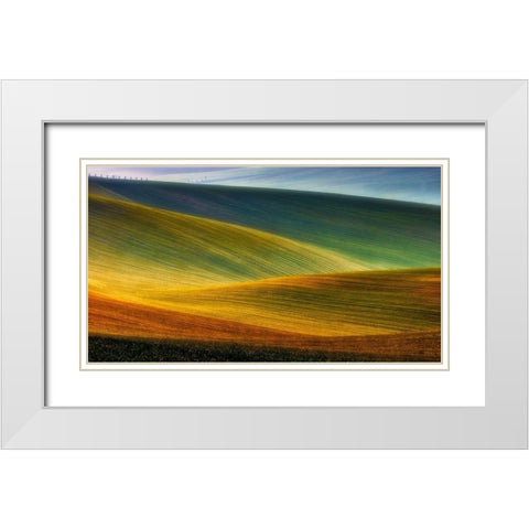 Spring Fields White Modern Wood Framed Art Print with Double Matting by Krol, Piotr