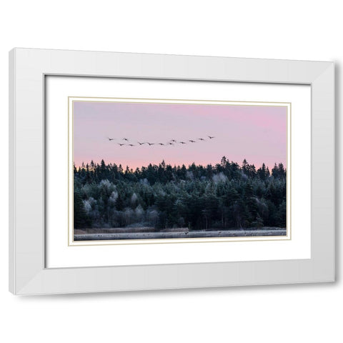 Heading South White Modern Wood Framed Art Print with Double Matting by Emanuelson, Bjorn