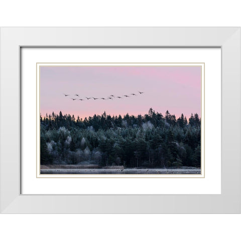 Heading South White Modern Wood Framed Art Print with Double Matting by Emanuelson, Bjorn