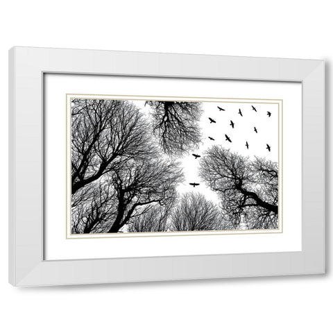 Out To The Open White Modern Wood Framed Art Print with Double Matting by Damsten, Petri