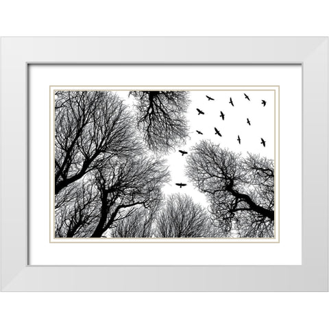 Out To The Open White Modern Wood Framed Art Print with Double Matting by Damsten, Petri