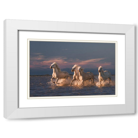 Angels Of Camargue White Modern Wood Framed Art Print with Double Matting by Anton, Rostovskiy