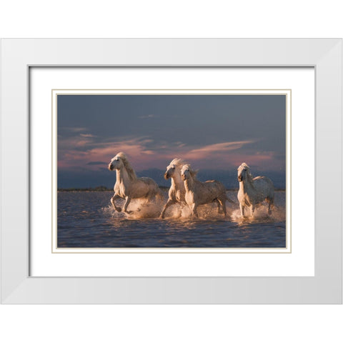 Angels Of Camargue White Modern Wood Framed Art Print with Double Matting by Anton, Rostovskiy