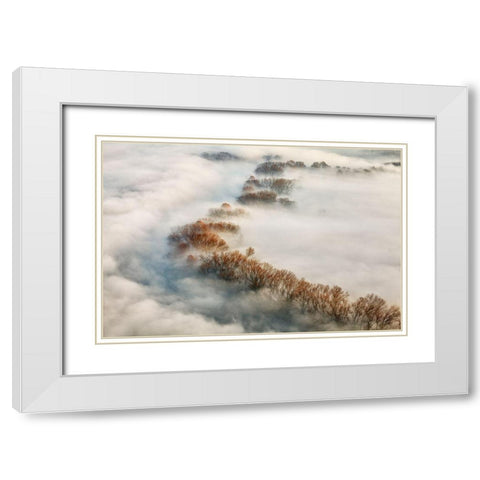Foggy Valley White Modern Wood Framed Art Print with Double Matting by Carozzi, Fiorenzo