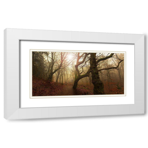 My Autumn Walk.. White Modern Wood Framed Art Print with Double Matting by Londal, Leif