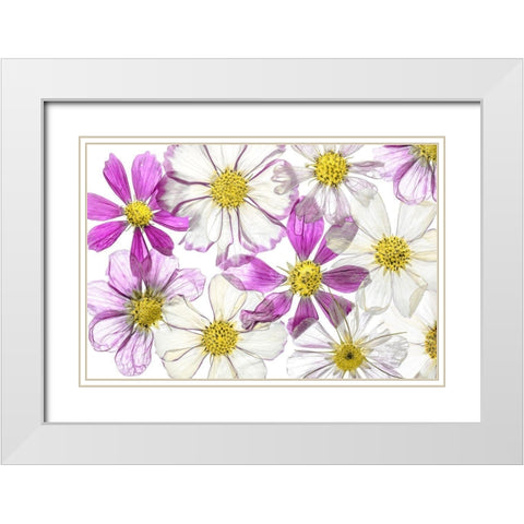 Keeping Summer White Modern Wood Framed Art Print with Double Matting by Disher, Mandy