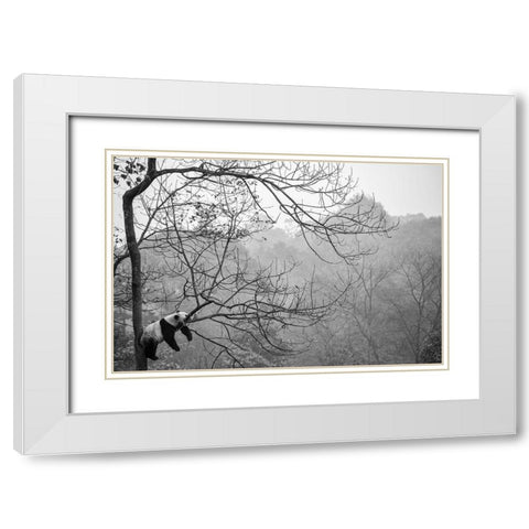 Relax White Modern Wood Framed Art Print with Double Matting by Catta, Alessandro