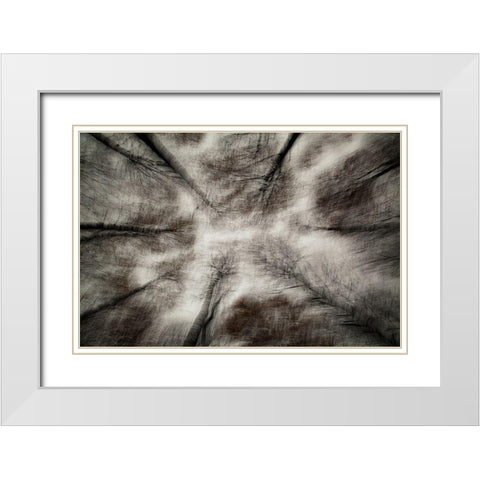 The First Autumn Storm White Modern Wood Framed Art Print with Double Matting by Davidsson, Gustav