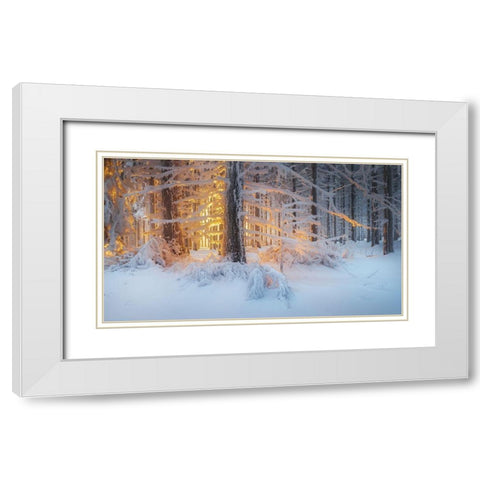 Silent Dream White Modern Wood Framed Art Print with Double Matting by Jochen, Burger