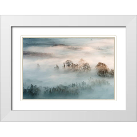 Winter Fog White Modern Wood Framed Art Print with Double Matting by Galimberti, Marco