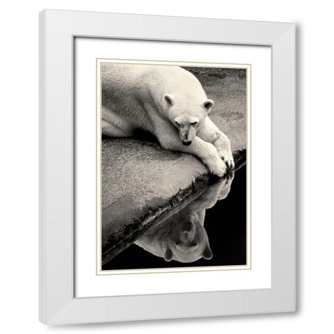 Who Is That Beauty In The Water White Modern Wood Framed Art Print with Double Matting by Wallberg, Allan