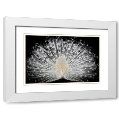 Black And White, White Modern Wood Framed Art Print with Double Matting by Liddi, Pino