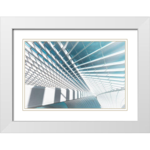 Icy Light White Modern Wood Framed Art Print with Double Matting by Popan, Adrian