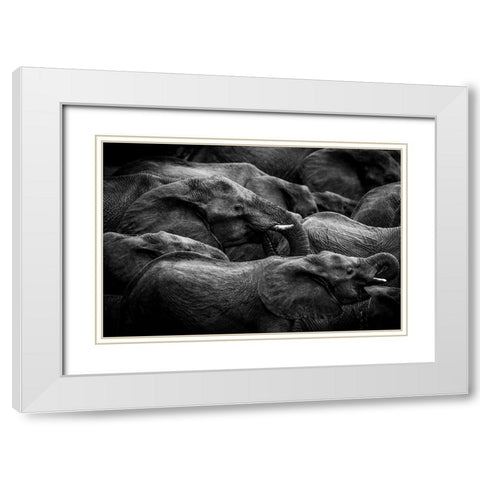 Elephant Herd White Modern Wood Framed Art Print with Double Matting by Eriksson, Denise