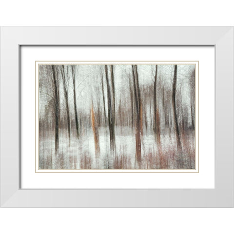 Cold White Modern Wood Framed Art Print with Double Matting by Davidsson, Gustav