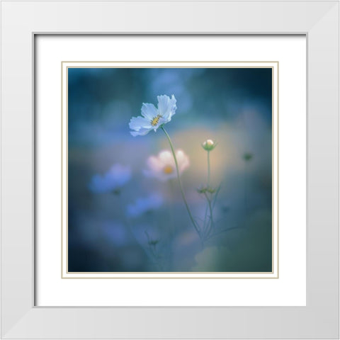 White Shadow White Modern Wood Framed Art Print with Double Matting by Koumura, Miyako