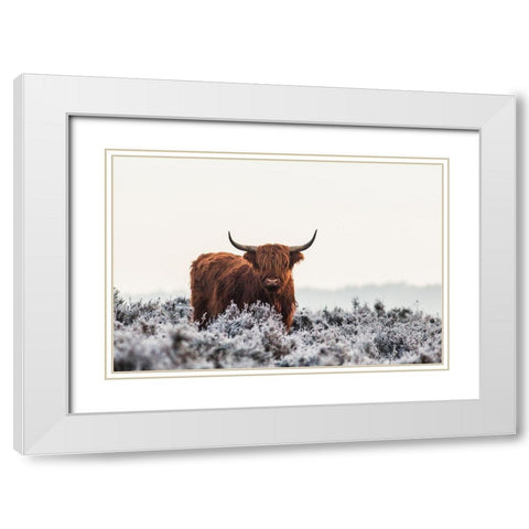Highlander White Modern Wood Framed Art Print with Double Matting by Van Den, Jaap