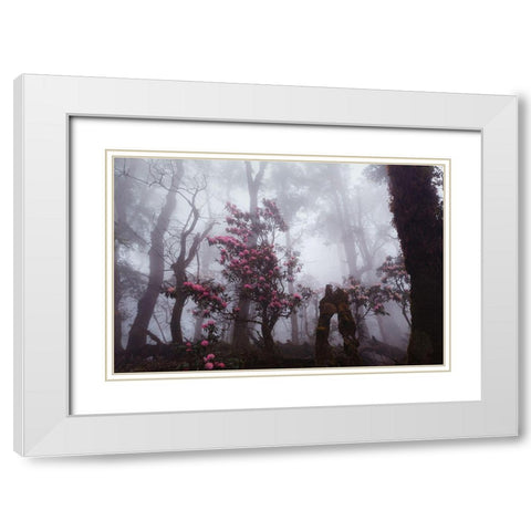 Through The Fog White Modern Wood Framed Art Print with Double Matting by Kupratsevich, Dmitry