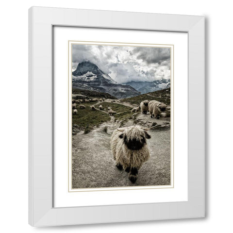 Out Of My Way White Modern Wood Framed Art Print with Double Matting by Landolt, Susanne