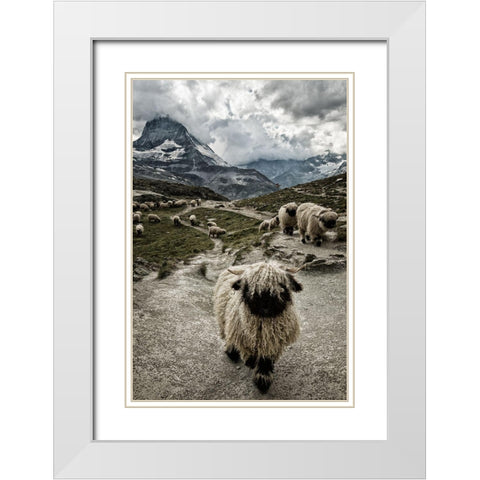 Out Of My Way White Modern Wood Framed Art Print with Double Matting by Landolt, Susanne