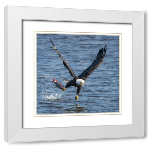 Lunch Over Mississippi White Modern Wood Framed Art Print with Double Matting by Fan, John